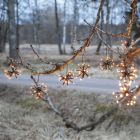 Plastové vianočné svetlo čierne, 3,1W, 2200K LED, IP44