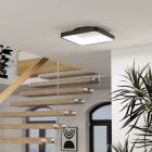 Oceľové moderné smart stropné svietidlo čierne, Shauni, 20 W, LED RGBW, s diaľkovým ovládačom