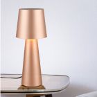 Hnedá stolová lampa moderná, Lillyam, s vypínačom
