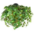 Zelená stropná lampa dizajnová, Urwa
