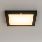 Plastové stropné svietidlo so senzorom čierne, Luan, 18 W, LED 3000 K