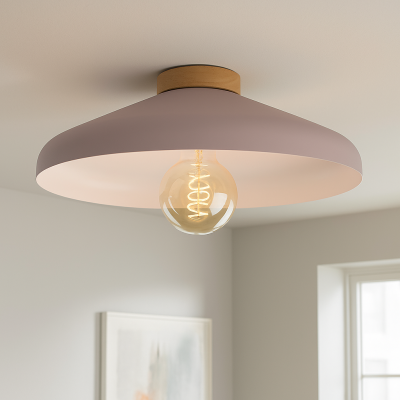 Rustikálne stropné svietidlo ružové, Freddie