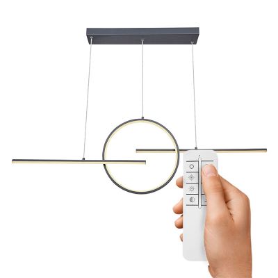 Kovové dizajnové visiace svietidlo antracité, Wieger, 50 W, LED nastaviteľný od teplej po studenú bielu, s diaľkovým ovládačom