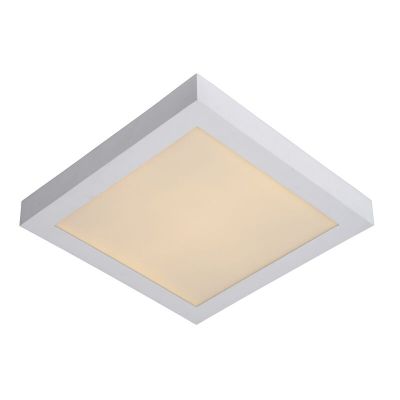 Biela stropná lampa moderná, Brice, 30 W, LED 3000 K, IP44