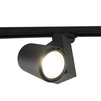 Čierne bodové svetlo Bisolux Master B, napájač Philips, 4000K, 30W, 36 stupňov