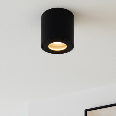 Moderné prisadené stropné svietidlo čierne, Alion, IP44