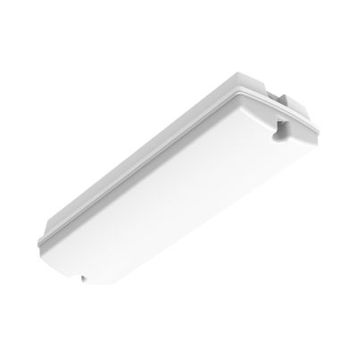 Biele núdzové osvetlenie, Pedram, 3W, 6500K LED, IP66