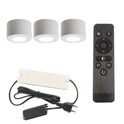 Hliníkové prisadené stropné svietidlo do altánku biele, Vasso, 9 W, LED 2700 K, IP44, s diaľkovým ovládačom