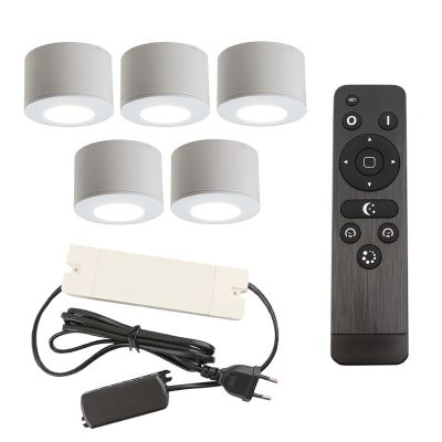 Hliníkové prisadené stropné svietidlo do altánku biele, Vasso, 15 W, LED 2700 K, IP44, s diaľkovým ovládačom