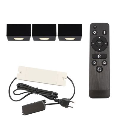 Hliníkové prisadené stropné svietidlo do altánku čierne, Fredo, 9 W, LED 2700 K, IP44, s diaľkovým ovládačom