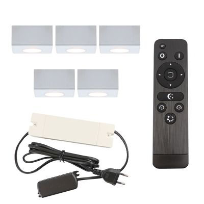 Hliníkové prisadené stropné svietidlo do altánku biele, Fredo, 15 W, LED 2700 K, IP44, s diaľkovým ovládačom