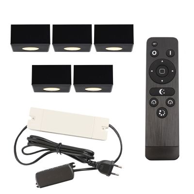 Hliníkové prisadené stropné svietidlo do altánku čierne, Fredo, 15 W, LED 2700 K, IP44, s diaľkovým ovládačom