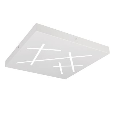 Biela stropná lampa dizajnová, Eelco, 24 W, LED nastaviteľný od teplej po studenú bielu, s 3-stupňovým stmievačom